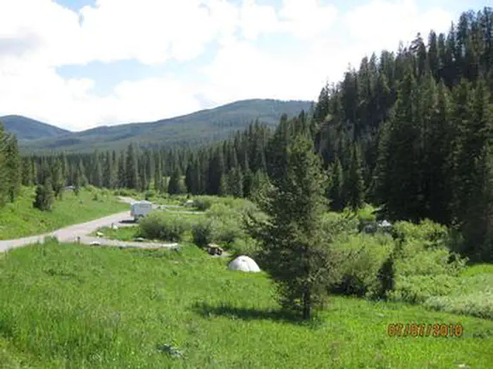 Langohr Campground — LANGOHR CAMPGROUND - campground road with pine trees & camper