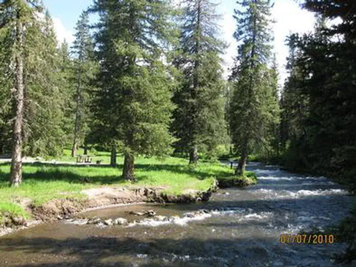 Langohr Campground — Hyalite Creek & pine trees