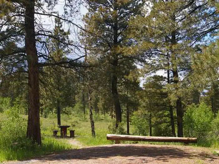 Skull Creek — SKULL CREEK