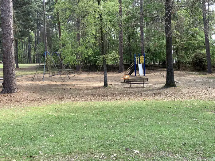 Alley Creek Camp — Alley Creek playground