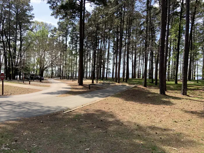 Alley Creek Camp — Alley Creek RV 2