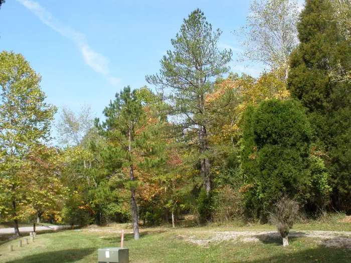 Indian-Celina Recreation Area — INDIAN CELINA LAKE