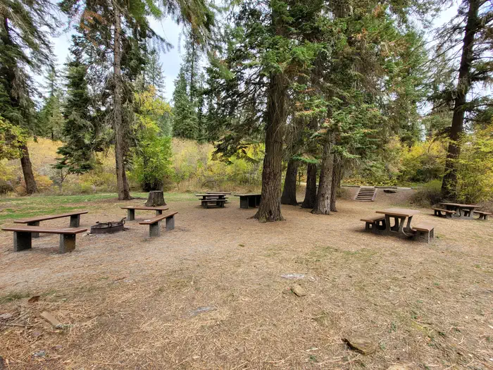 South Fork Group Site 5 - Nez Perce Nf (id) — South Fork Site #5, Camp area