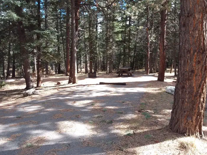 Clear Creek Campground (nm) — Site 6