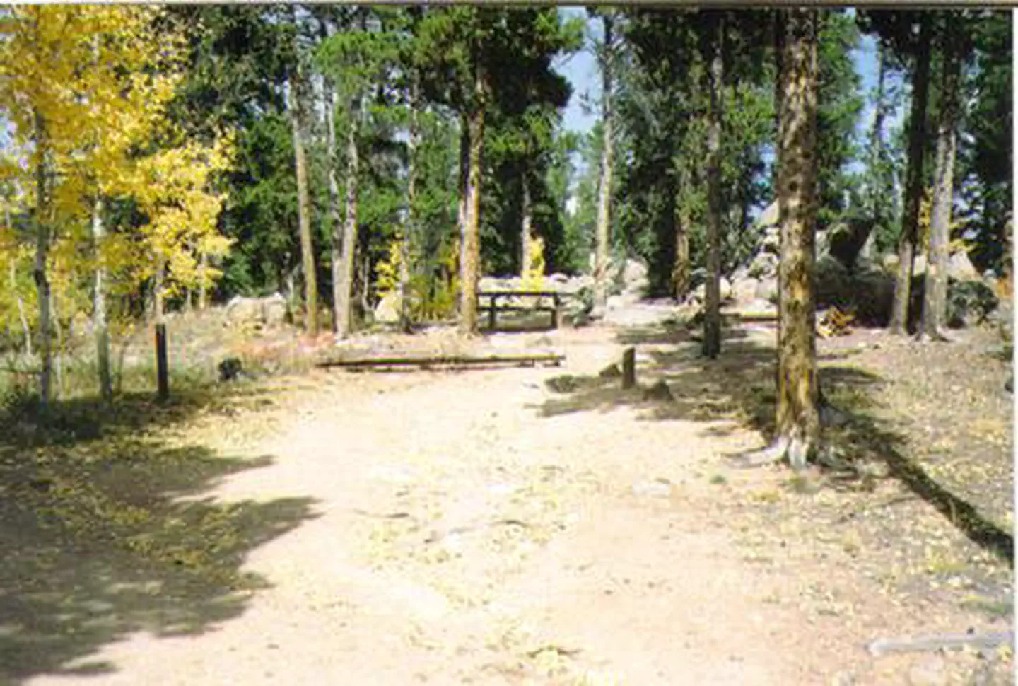 Kenosha East Campground — KENOSHA PASS CAMPGROUND