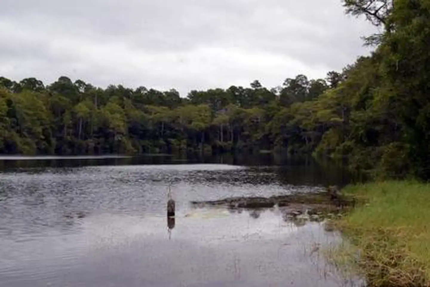 Wright Lake Campground — WRIGHT LAKE CAMPGROUND