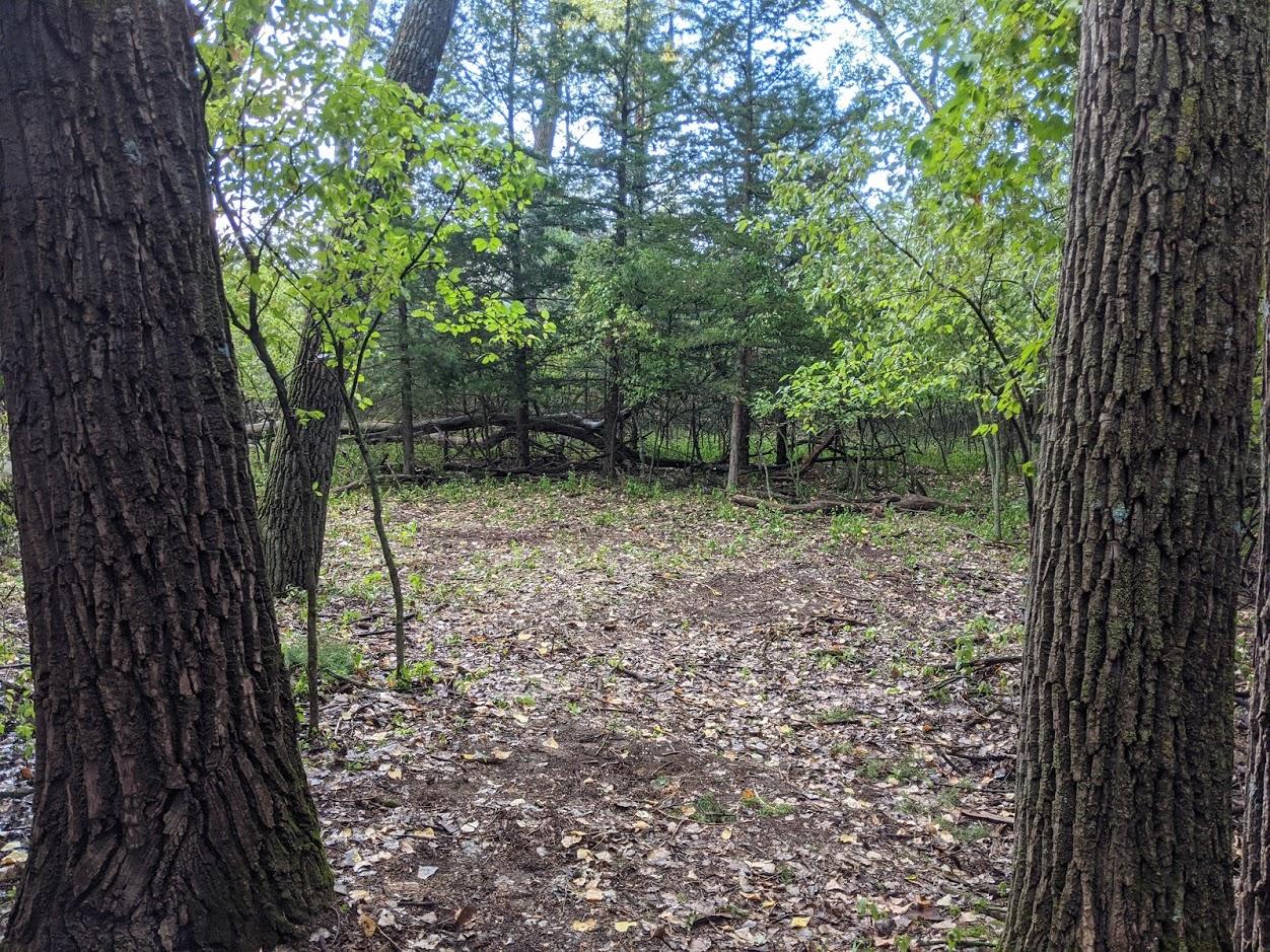 Goat Island Primitive Camping — Goat Island Camping
