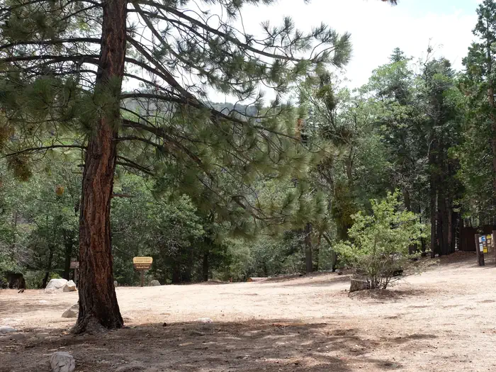 Fishermans Group Campground — Fishermans Group Campground with trees.