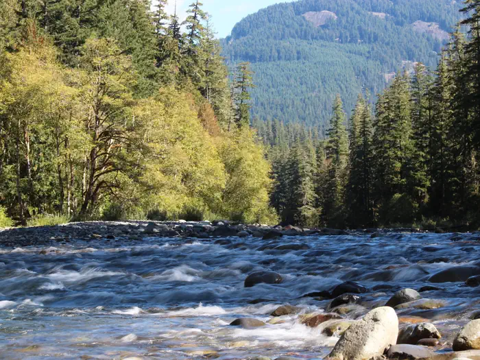 La Wis Wis Campground — Cowlitz River