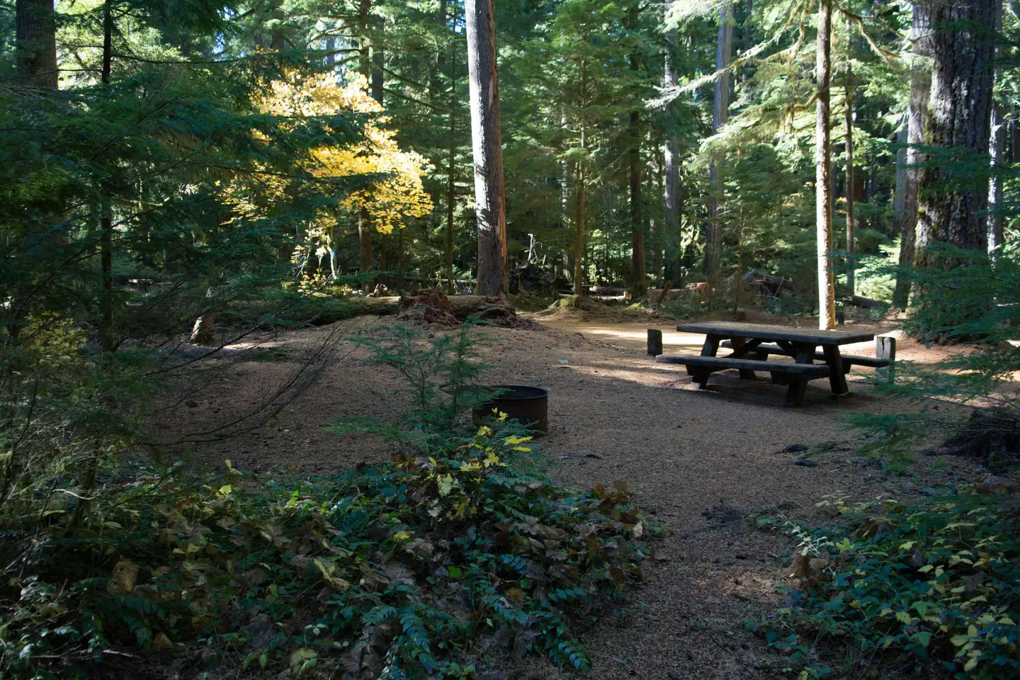 La Wis Wis Campground — La Wis Wis Campground site