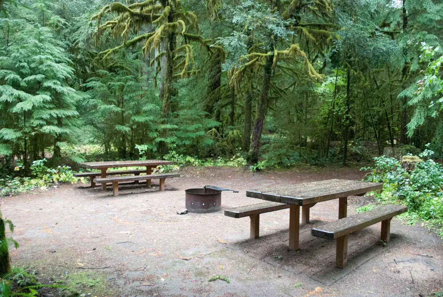 La Wis Wis Campground — La Wis Wis Campsite