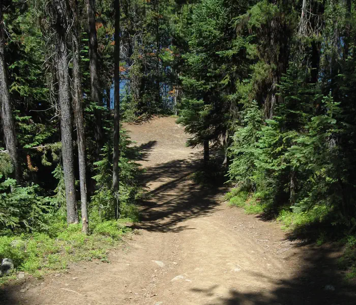 Olive Lake Campground (or) — Dirt trail among trees