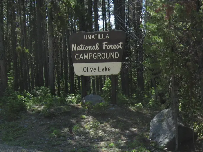 Olive Lake Campground (or) — Campground entrance sign