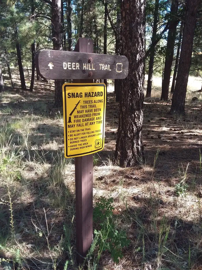 Little Elden Springs Horsecamp — Little Elden Springs Deer hill trail sign