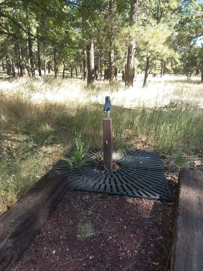 Little Elden Springs Horsecamp — Little Elden Springs water pump surrounded by grass.