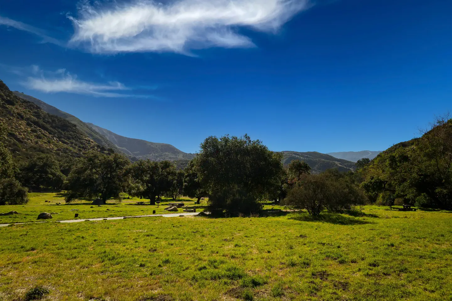 Upper Oso Campground — Upper Oso field