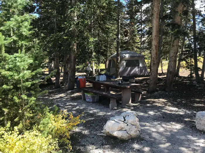 Forks Of Huntington — Twelve Mile Flat Campground SITE