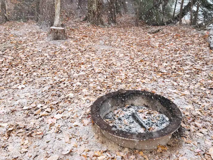 Bass Lake Campsite — Bass Lake Campsite Fire Ring