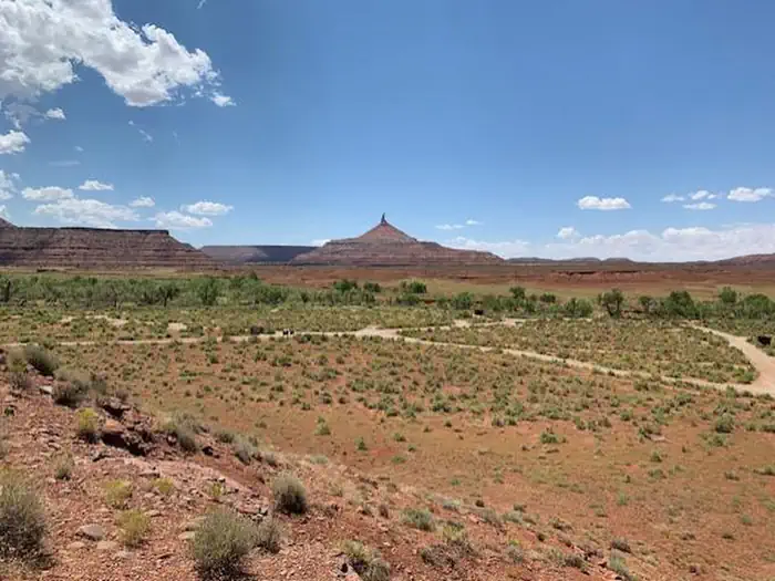 Superbowl Campground — view of the desert campground with a ribbon of cottonwood trees