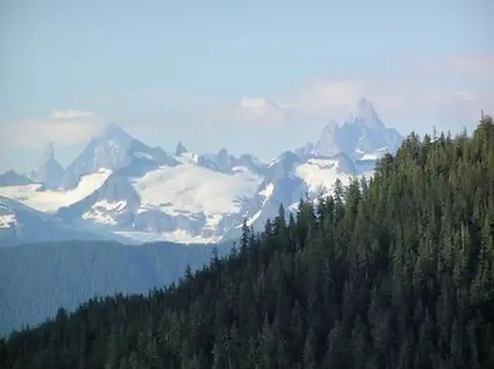Ravens Roost Cabin — RAVENS ROOST CABIN