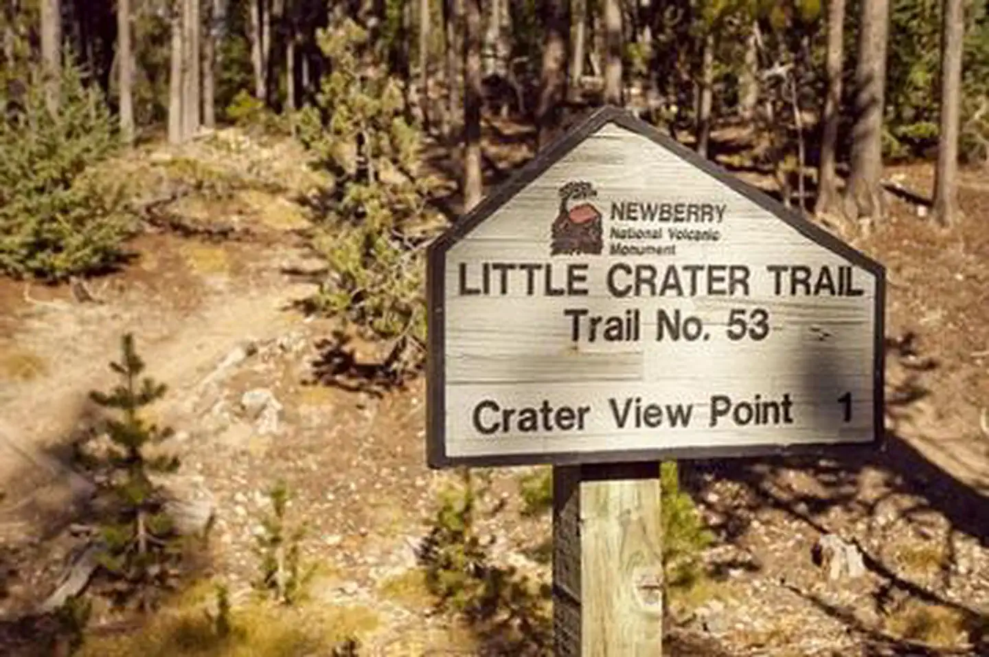 Little Crater Campground — LITTLE CRATER CAMPGROUND