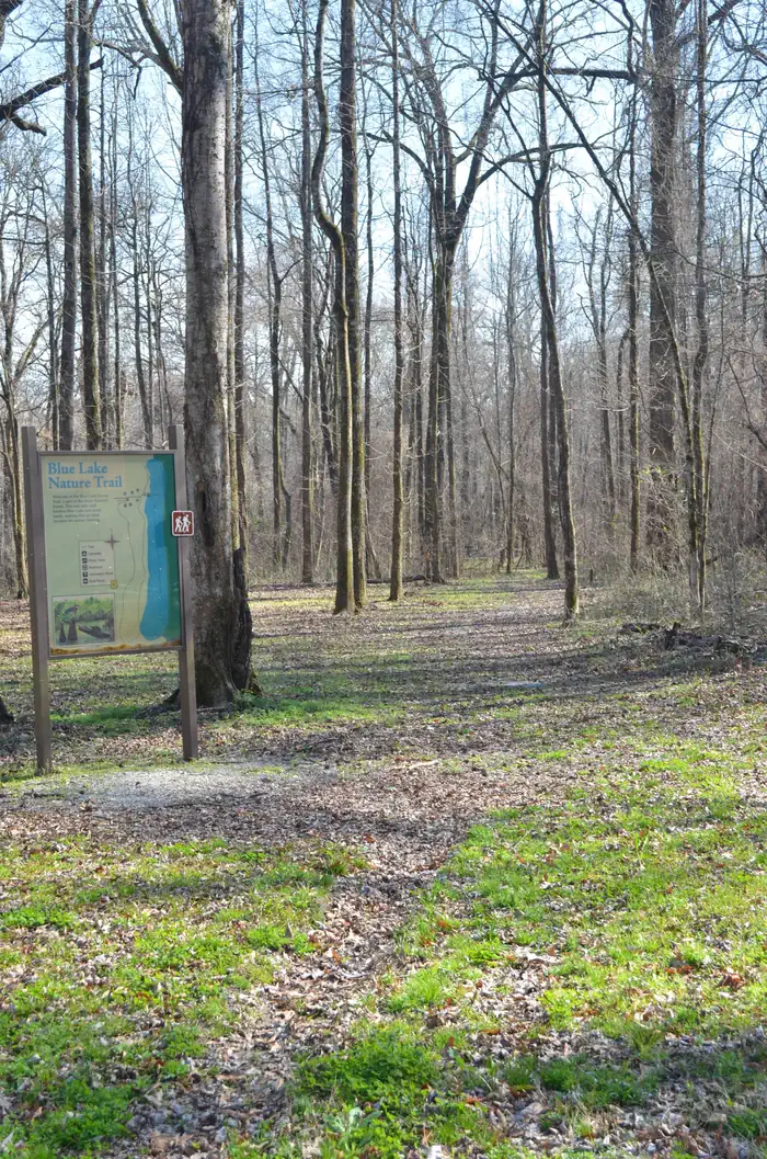 Delta National Forest - Camping