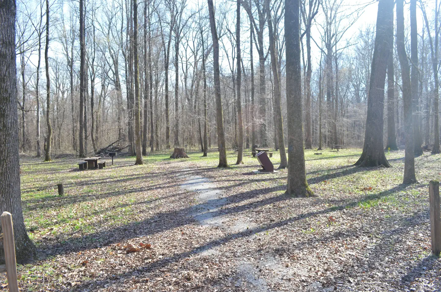 Delta National Forest - Camping — Blue Lake Boat Ramp Picnic Area 1