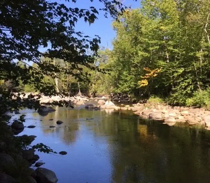 Dolly Copp Campground — A short walk from the campground