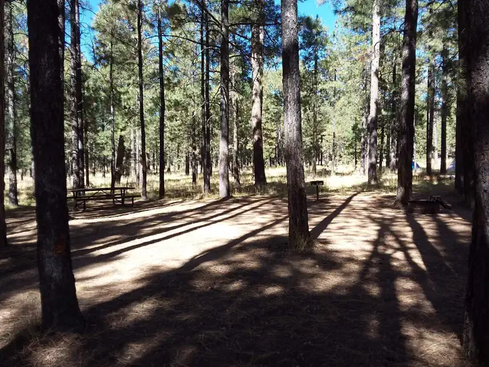 Canyon Point — CANYON POINT Standard Campsite