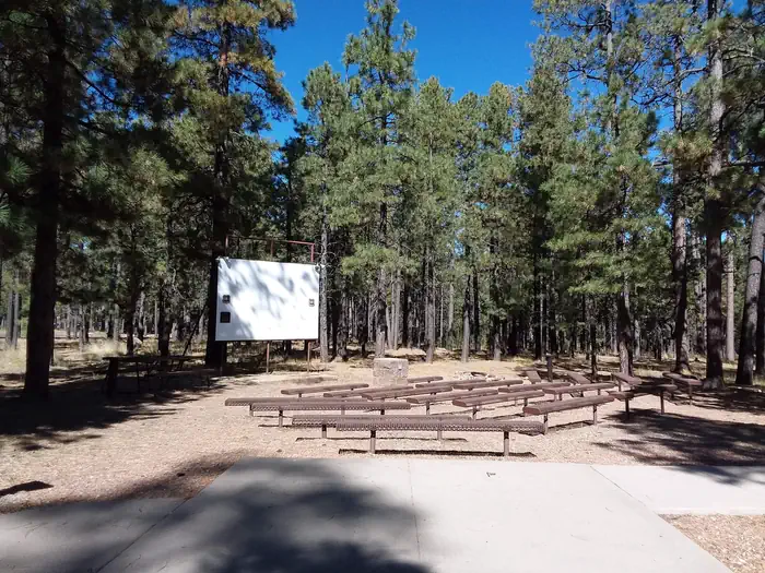 Canyon Point — CANYON POINT Amphitheater multi-media projection screen, fire ring, and benches situated in a pine forest
