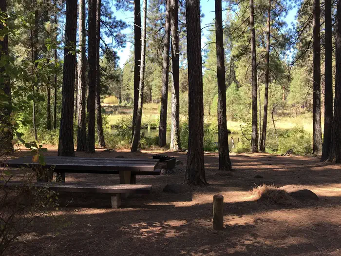 Smiling River Campground — Smiling River Hero