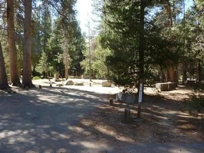 Jackass Meadow — Campsites in a shaded grove