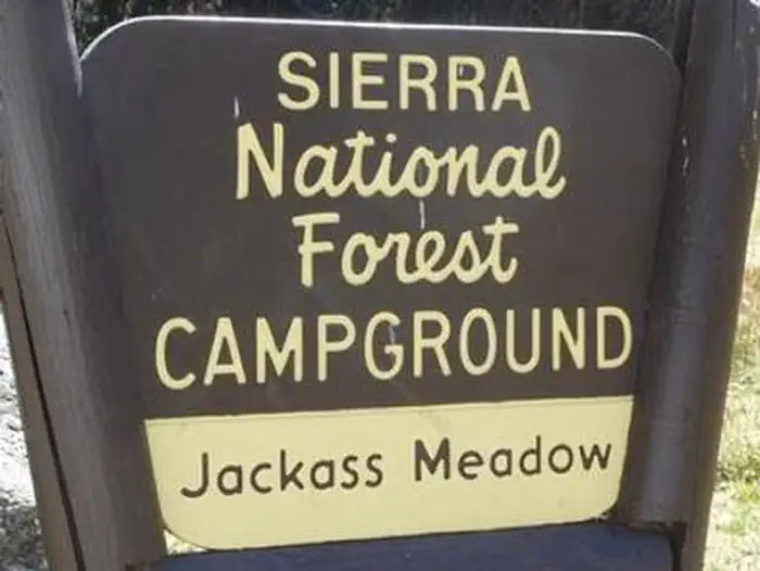 Jackass Meadow — JACKASS MEADOW