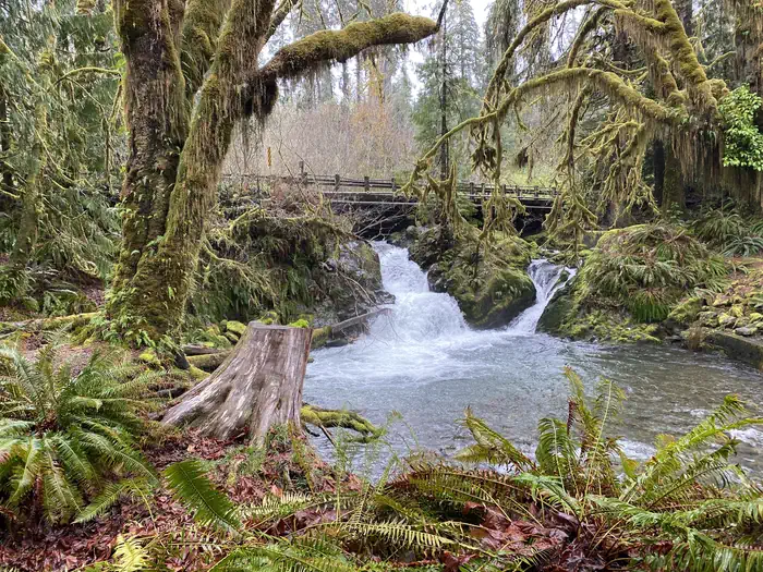 Falls Creek Campground — A photo of facility FALLS CREEK CAMPGROUND with Waterfront