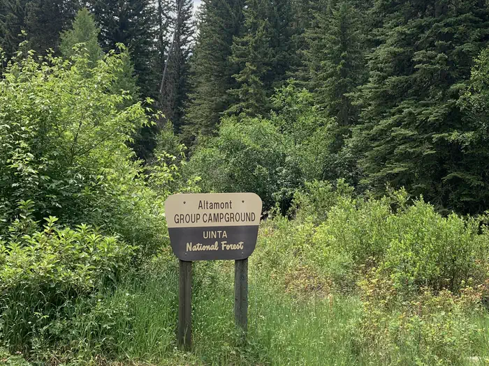 Altamont — ALTAMONT
