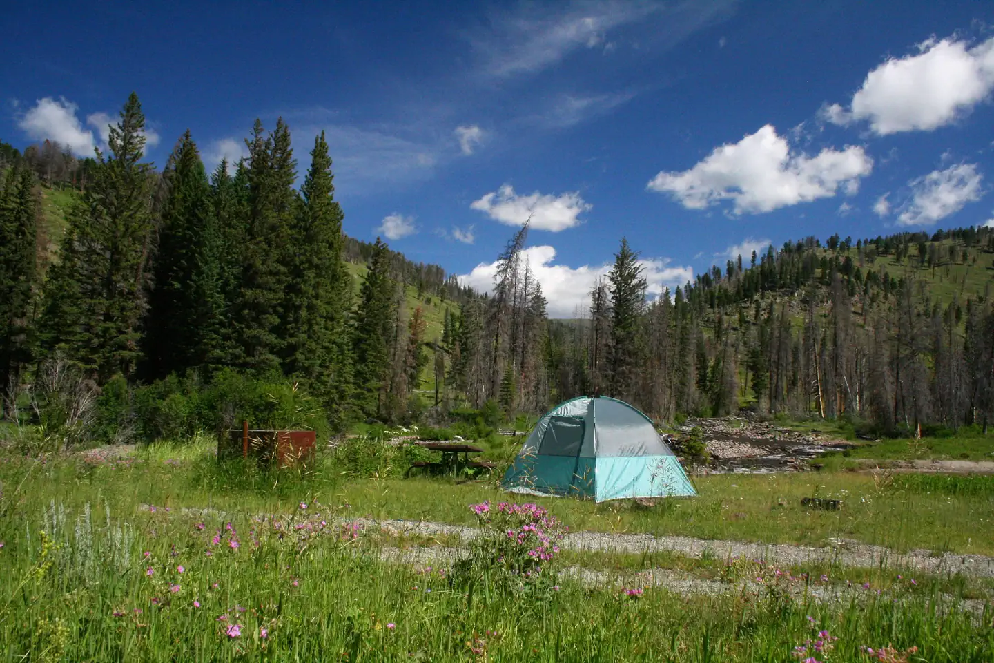 Slough Creek Campground — A blue sky and green hills form a backdrop for Slough Creek Campsite #7