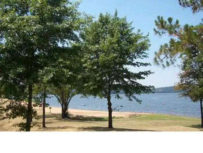 Piney Bay — PINEY BAY