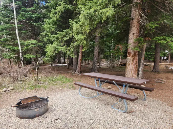 Snowslide Campground — typical campsite at Snowslide nestled amongst pine trees