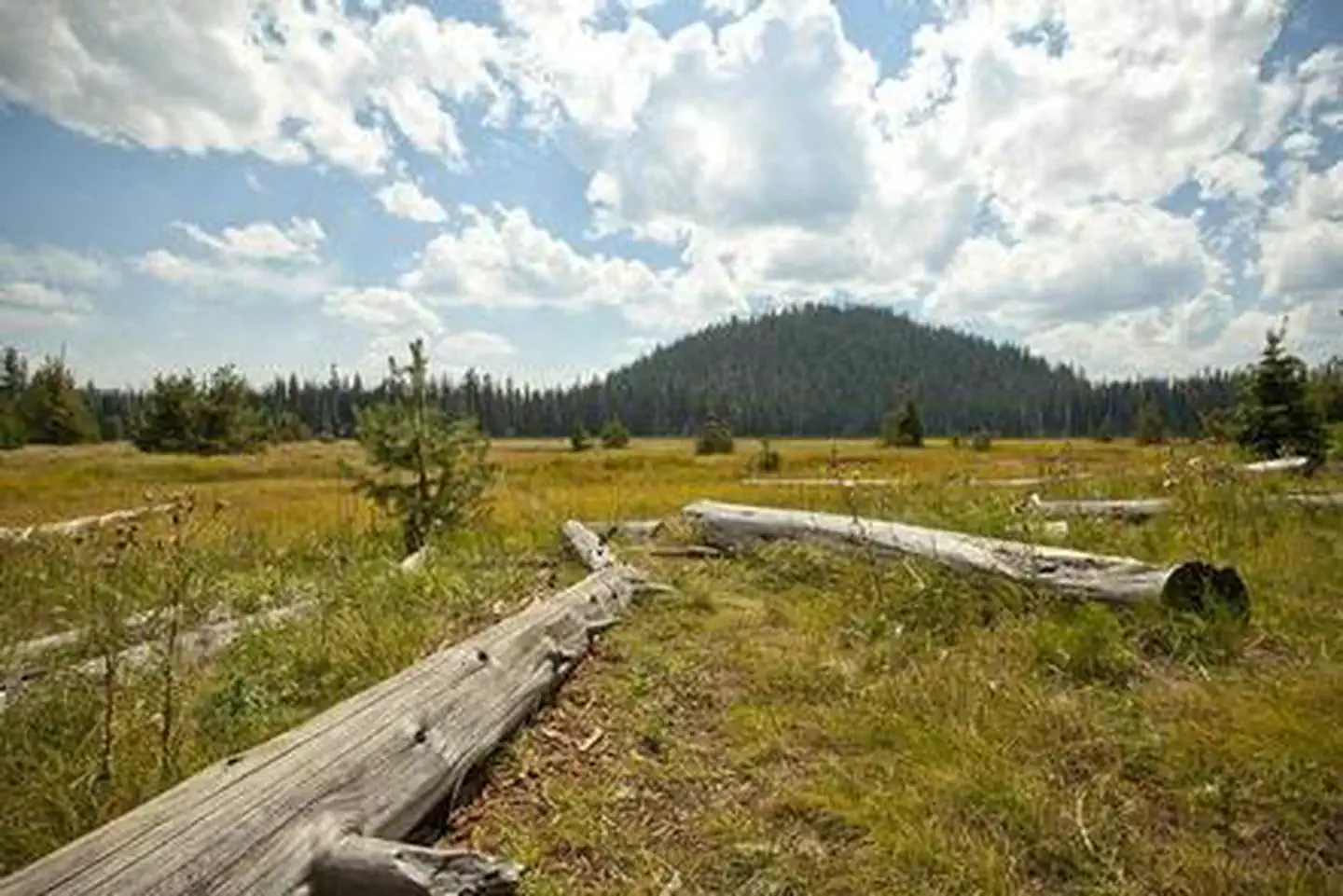 South Campground - Hosmer Lake (or) — SOUTH CAMPGROUND