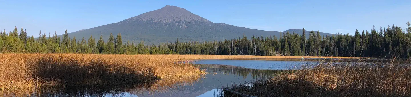South Campground - Hosmer Lake (or)