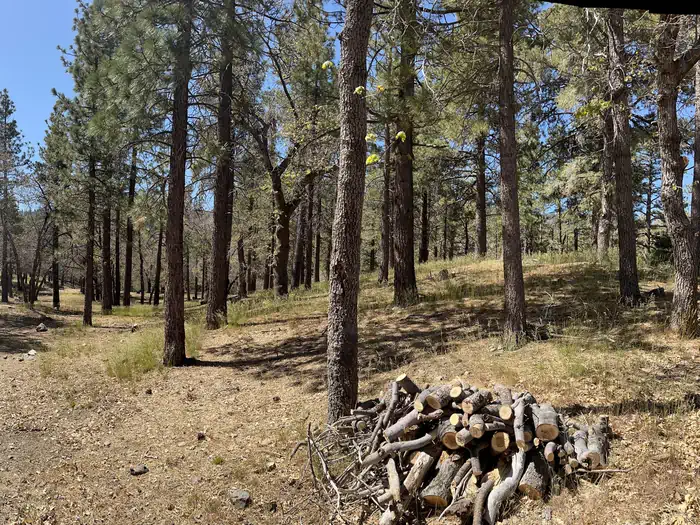 Mountain Oak — Mountain Oak Campground 2