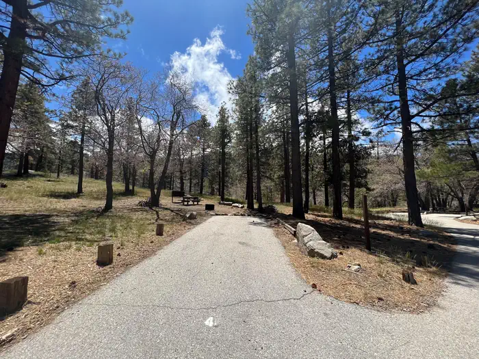 Mountain Oak — Mountain Oak Campground - Site 4