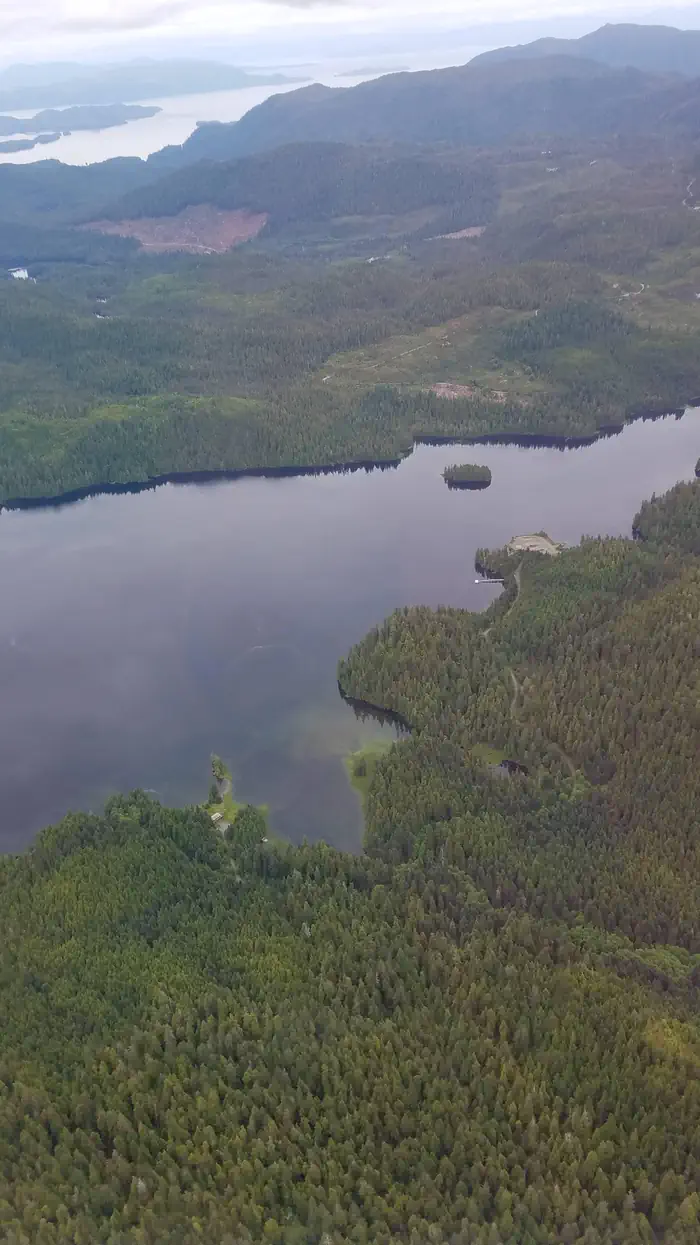 Polk Camp — Aerial View of the area around Polk Camp Cabin
