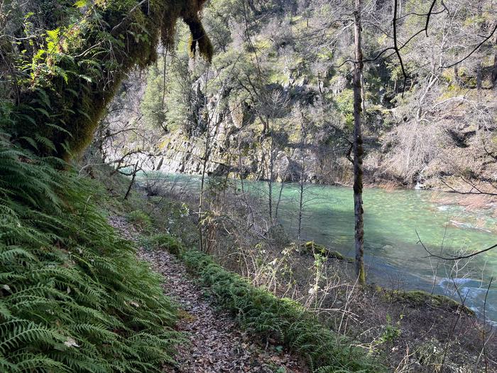 Dillon Creek Campground — Along the trail overlooking the creek
