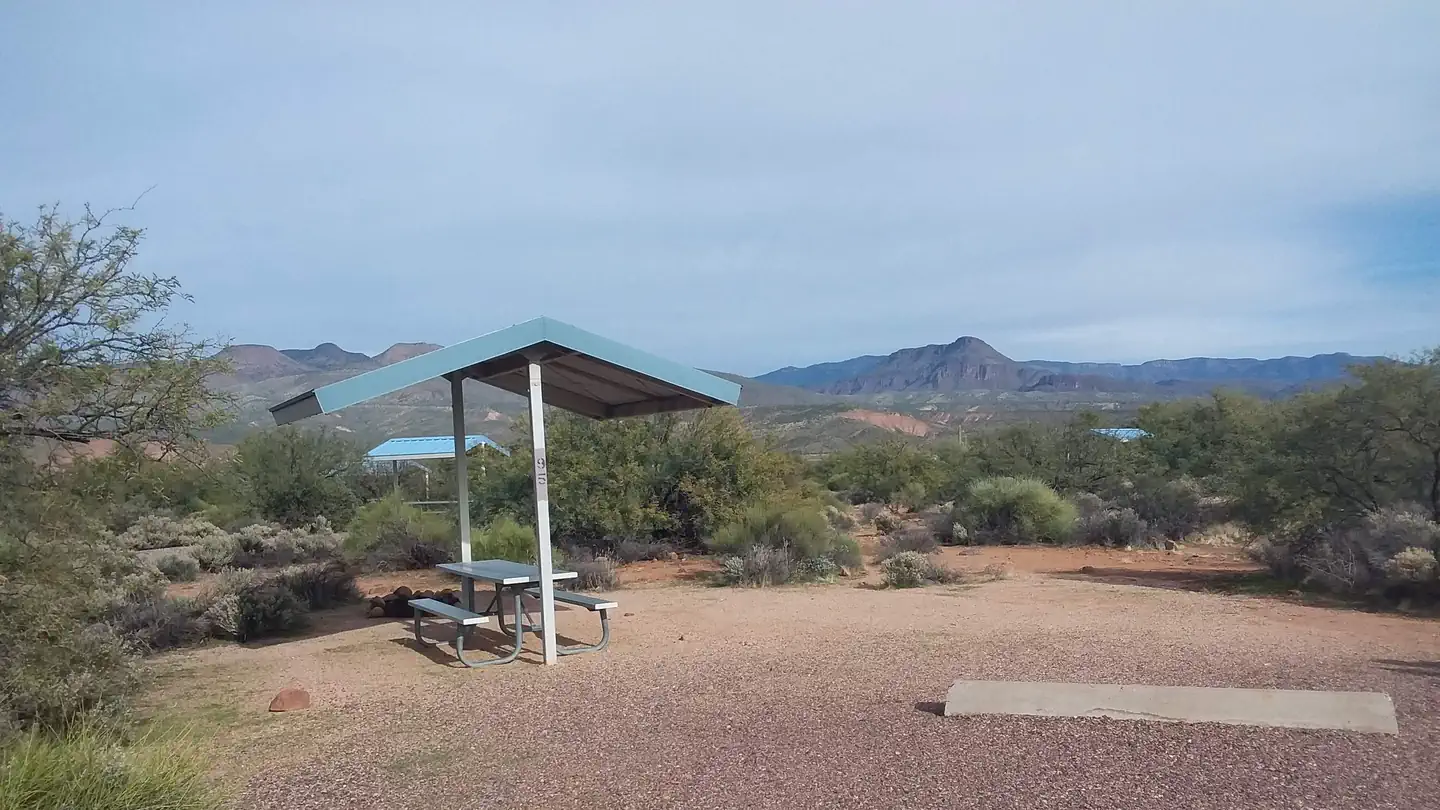 Cholla Bay