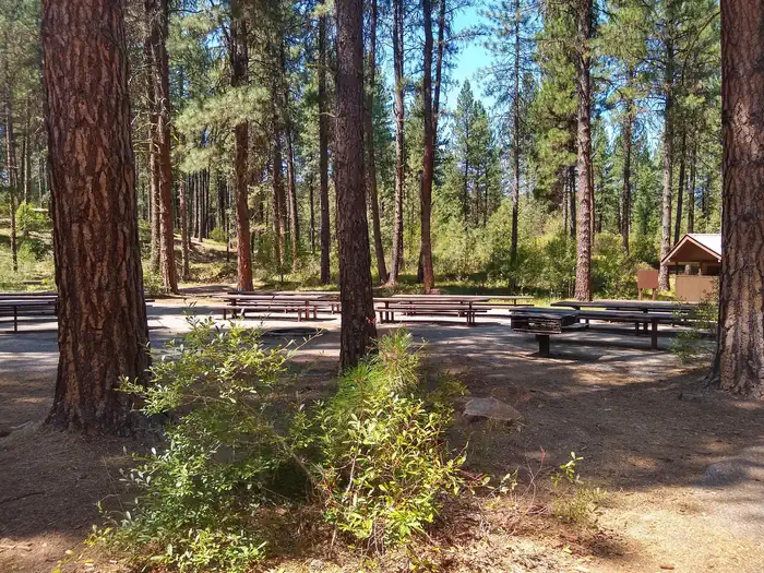 Grayback — A large forested area with picnic tables and a restroom in the bathroom.