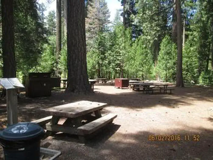 Middle Meadows Group Campground — Camp Unit 1 with large trees.