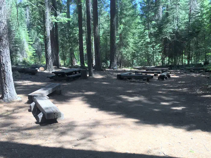 Middle Meadows Group Campground — Lush forest provide shade for Middle Meadows Group Campground