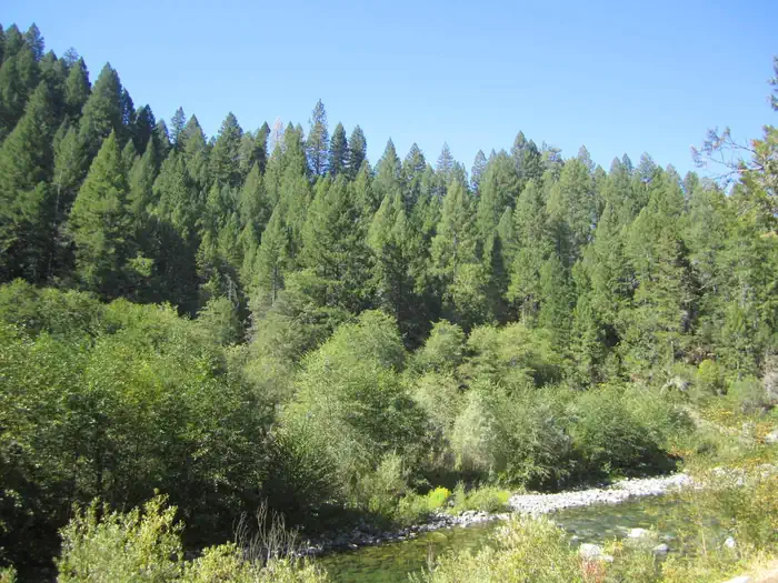 Indian Valley — View of North Yuba