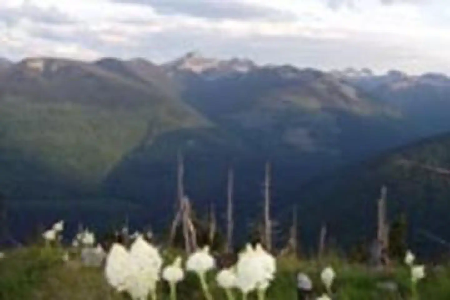 Shorty Peak Lookout — SHORTY PEAK LOOKOUT